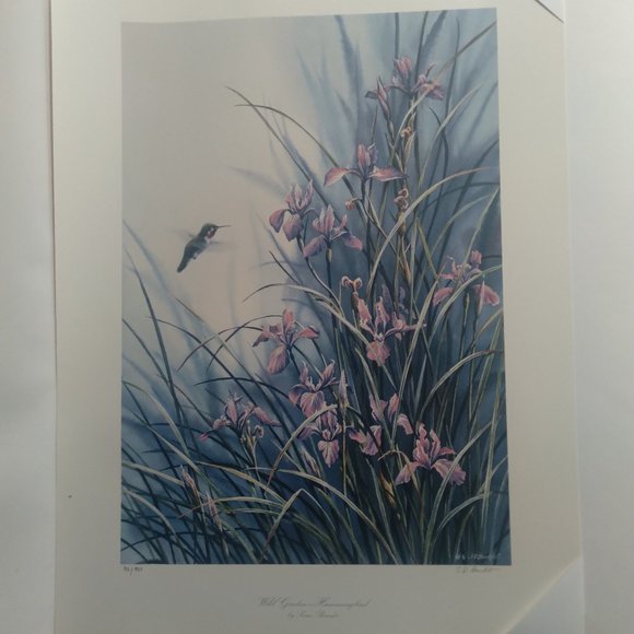 Other - Wild Wings Collection Print " WILD GARDEN- HUMMINGBIRD" Print #92 of 950 signed